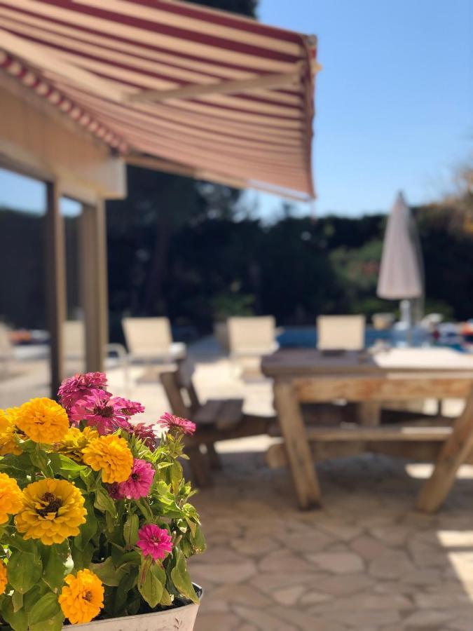 Le Paradis D'Anny Rouffiac-d'Aude Εξωτερικό φωτογραφία