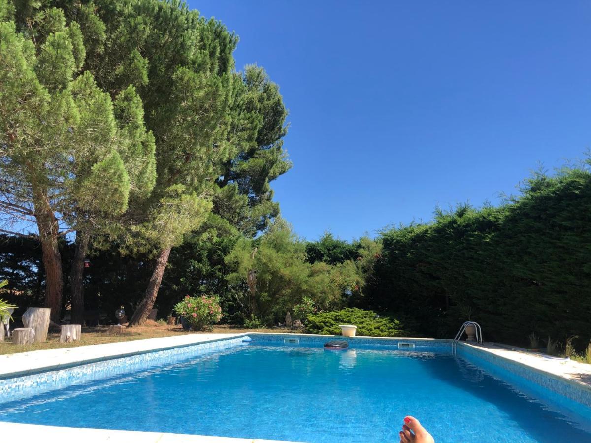 Le Paradis D'Anny Rouffiac-d'Aude Εξωτερικό φωτογραφία
